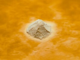 Arkan Zakharov Photography