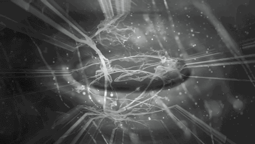 Arkan Zakharov Photography