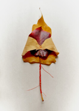 Arkan Zakharov Studio