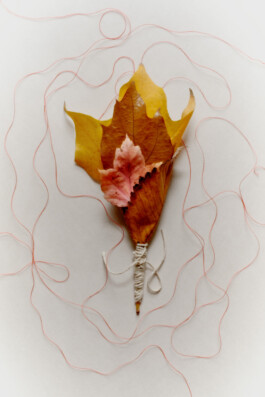 Arkan Zakharov Studio