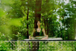 Arkan Zakharov Studio