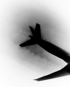 Arkan Zakharov Studio